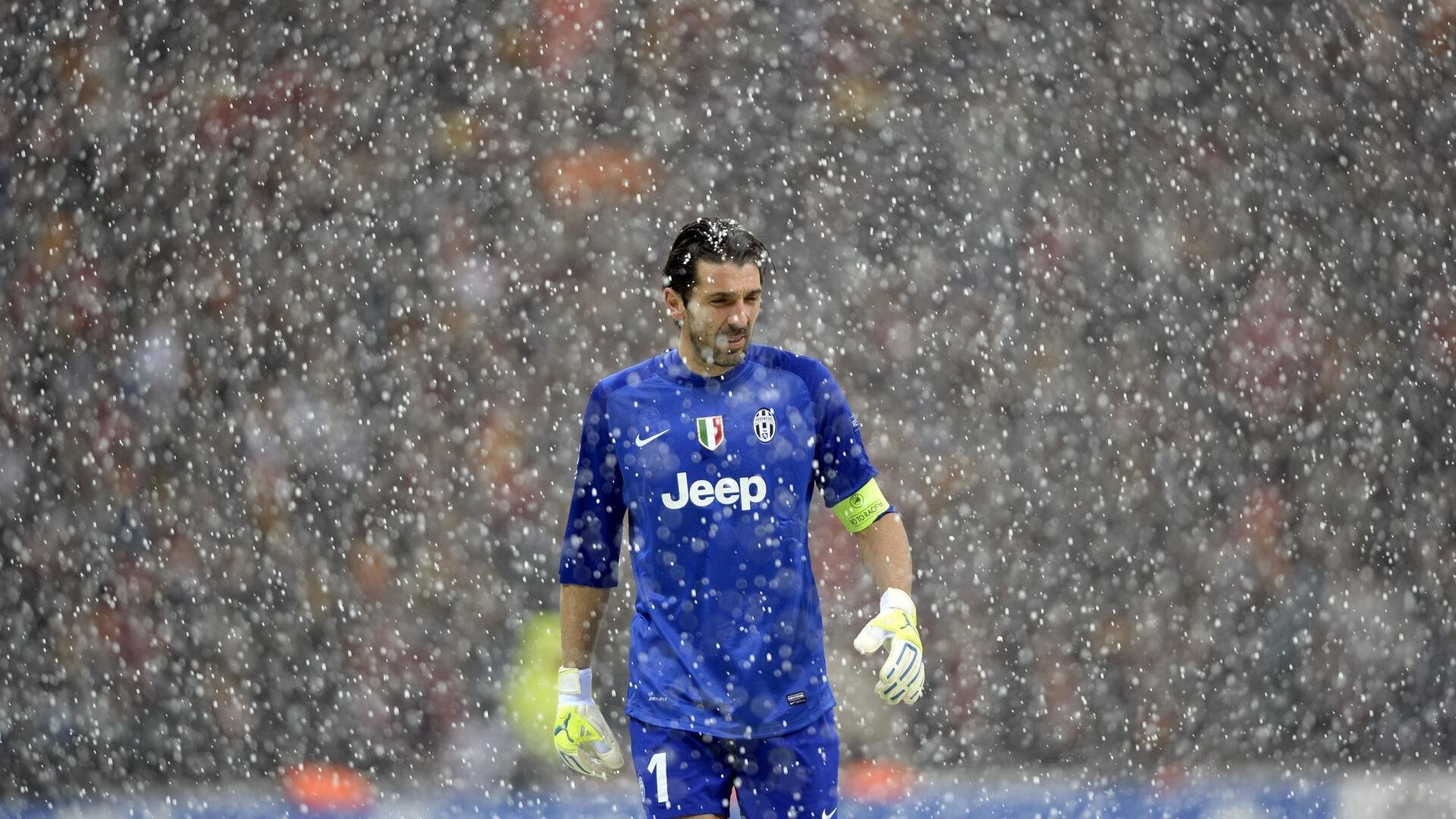 开云app-_大自然挑战赛：穿越原始森林的极限探险_，神奇的探险之旅,原始森林