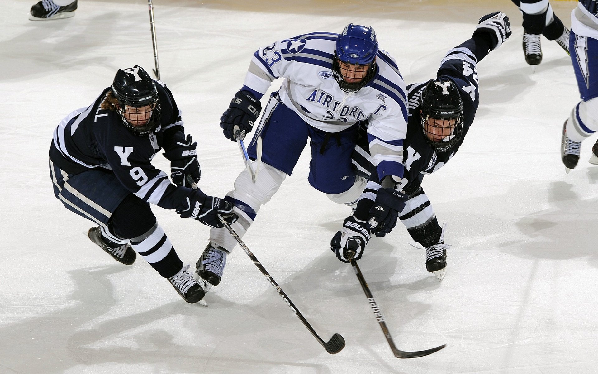 开云ios下载-青少年“篮球+科技”创新大赛在北京顺利举办，青少年篮球职业联赛